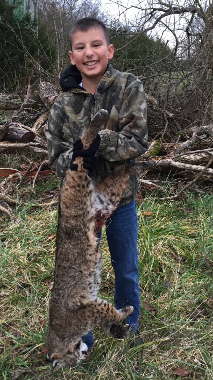 Attached picture bobcat cole holding.PNG